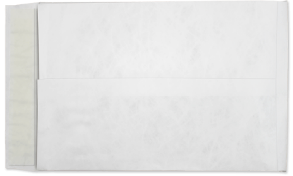 Picture of 10 X 13 X 1-1/2  18 Tyvek®® EXPANSION Catalog W/ KWIK-TAK®  -BULK
