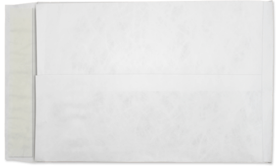 Picture of 10 X 13 X 1-1/2  18 Tyvek®® EXPANSION Catalog W/ KWIK-TAK®  -BULK