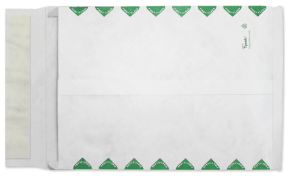 Picture of 12 X 16 X 2  18 Tyvek®® EXPANSION Catalog W/ KWIK-TAK® FIRST CLASS BORDER -BULK