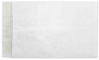 Picture of 9 X 12  14 Tyvek®® Catalog W/ KWIK-TAK®