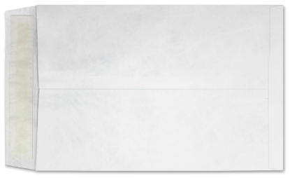 Picture of 6 X 9  14 Tyvek®® Catalog W/KWIK-TAK®®  -BULK