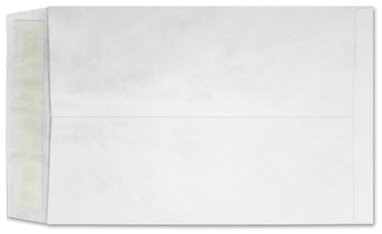 Picture of 6 X 9  14 Tyvek®® Catalog W/KWIK-TAK®®  -BULK