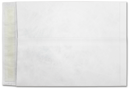 Picture of 12 X 15-1/2  14 Tyvek®® Catalog W/ KWIK-TAK®  -BULK