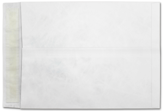 Picture of 12 X 15-1/2  14 Tyvek®® Catalog W/ KWIK-TAK®