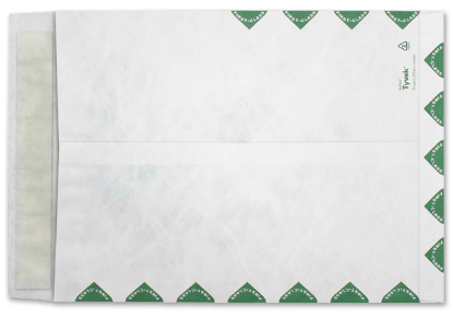 Picture of 9  X 12  14 Tyvek®® Catalog W/ KWIK-TAK® FIRST CLASS BORDER