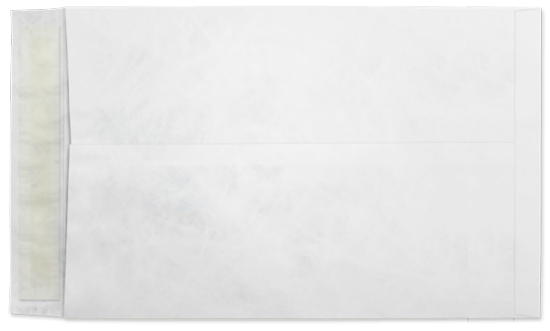 Picture of 9-1/2 X 12-1/2  14 Tyvek®® Catalog W/ KWIK-TAK®  -BULK