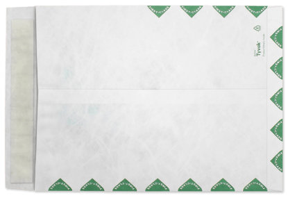 Picture of 10 X 13  14 Tyvek®® Catalog W/ KWIK-TAK® FIRST CLASS BORDER