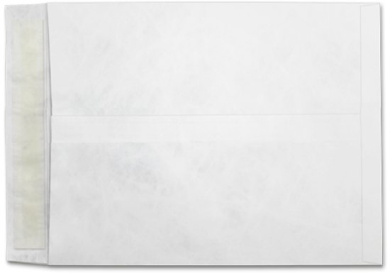 Picture of 11-1/2X14-1/2  14 Tyvek®® Catalog W/ KWIK-TAK®-BULK