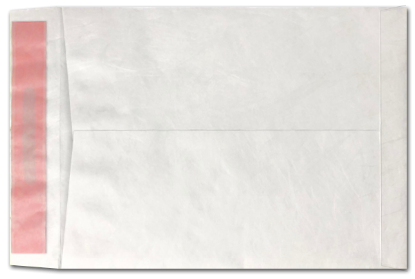 Picture of 9 X 12 14 Tyvek®® Catalog TAMPER EVIDENT SEAL