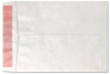 Picture of 10 X 13   14 Tyvek®® Catalog TAMPER EVIDENT SEAL