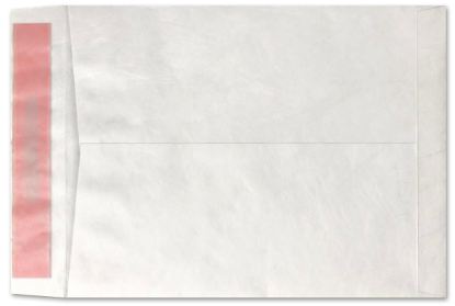 Picture of 10 X 13   14 Tyvek®® Catalog TAMPER EVIDENT SEAL