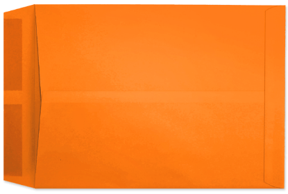 Picture of 10 X 13   28 TANGERINE STARBURST® Catalog-BULK