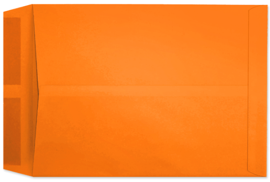 Picture of 10 X 13   28 TANGERINE STARBURST® Catalog-BULK