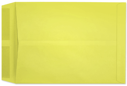 Picture of 10 X 13   28 LEMON STARBURST® Catalog -BULK