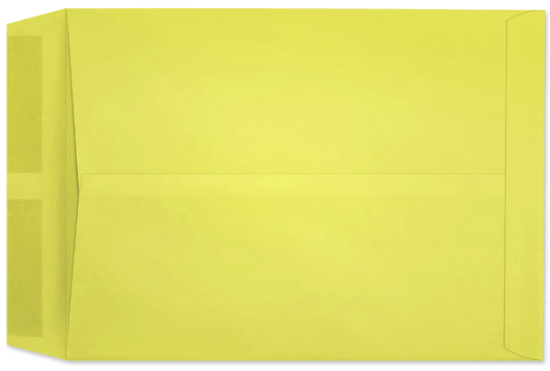 Picture of 10 X 13   28 LEMON STARBURST® Catalog -BULK