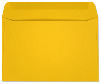 Picture of 6 X 9  24 YELLOW STARBURST® Booklet