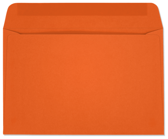 Picture of 6 X 9  24 ORANGE STARBURST® Booklet