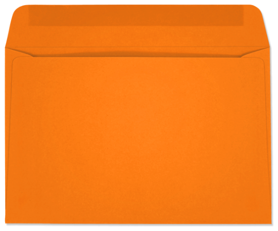 Picture of 6 X 9  24 TANGERINE STARBURST®  Booklet