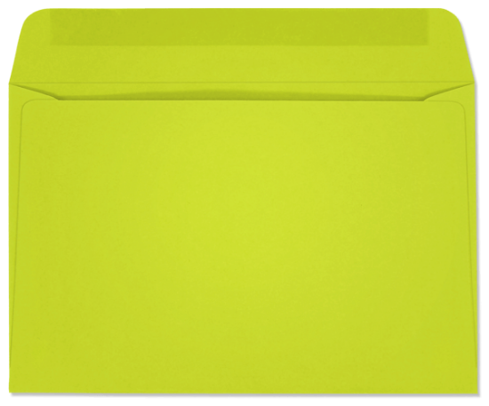 Picture of 6 X  9  24 LIME STARBURST® Booklet