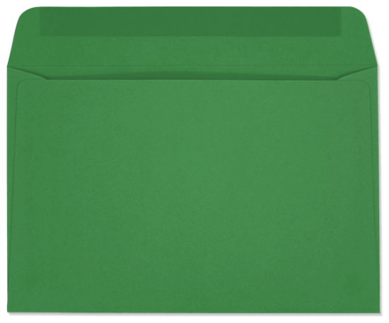 Picture of 6 X  9  24 GREEN STARBURST® Booklet
