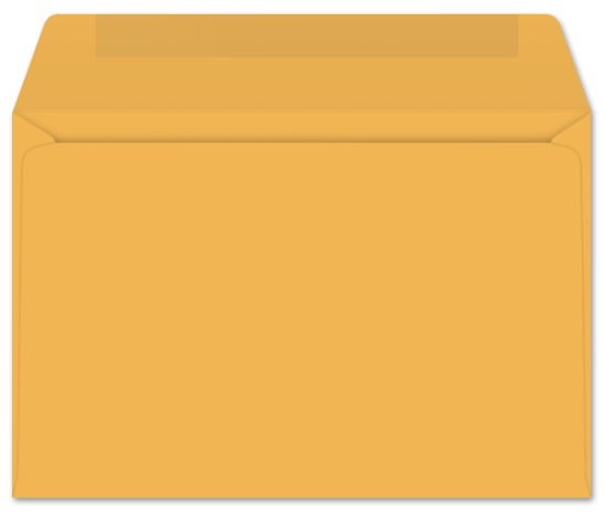 Picture of 6  X 9  24 GOLDENROD PRISM® Booklet