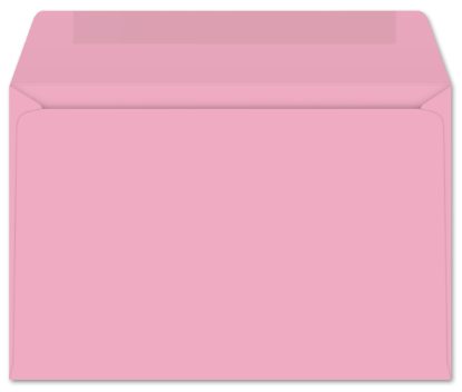 Picture of 6  X 9  24 PINK PRISM® Booklet