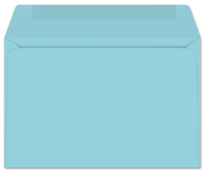 Picture of 6 X 9  24 BLUE PRISM® Booklet