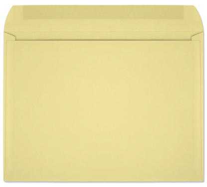 Picture of 9 X 12   28 CANARY PRISM® Booklet  -BULK