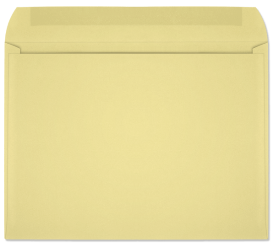 Picture of 9 X 12   28 CANARY PRISM® Booklet  -BULK