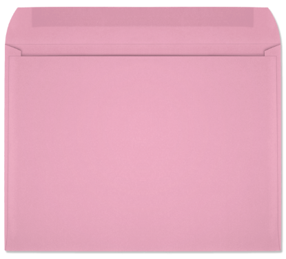 Picture of 9 X 12  28 PINK PRISM® Booklet  -BULK