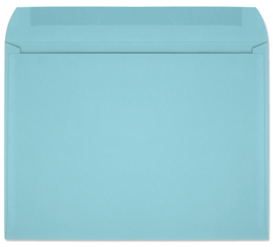 Picture of 9  X 12  28 BLUE PRISM® Booklet  -BULK