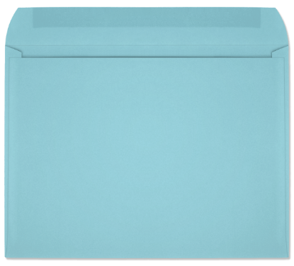 Picture of 9  X 12  28 BLUE PRISM® Booklet  -BULK