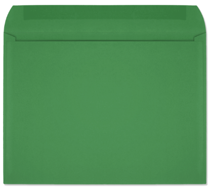 Picture of 9 X 12  28 GREEN STARBURST® Booklet