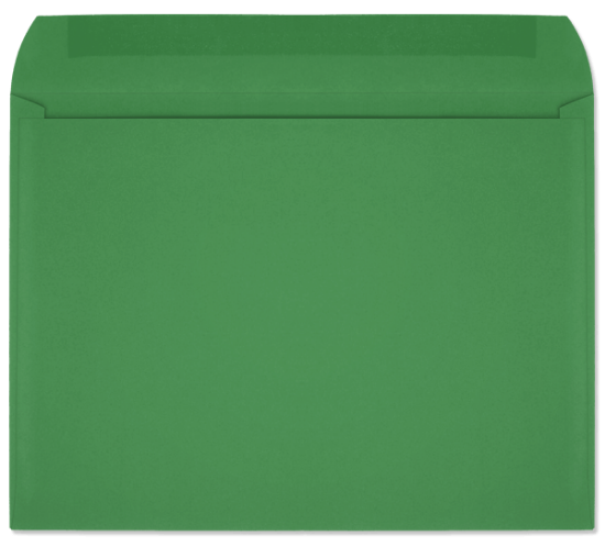 Picture of 9 X 12  28 GREEN STARBURST® Booklet