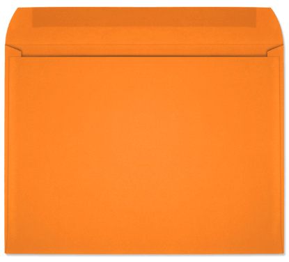 Picture of 9  X 12  28 TANGERINE STARBURST® Booklet