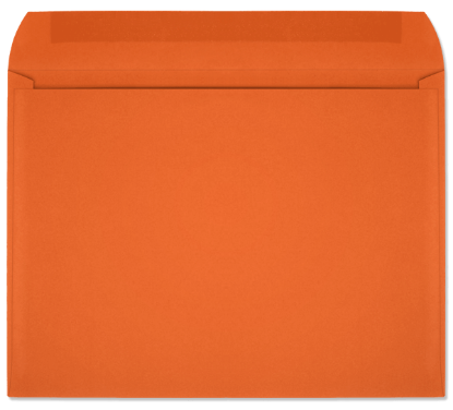 Picture of 9 X 12   28 ORANGE STARBURST® Booklet