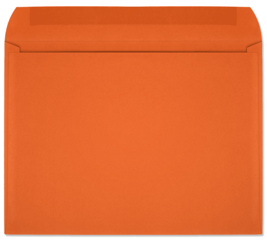 Picture of 9 X 12   28 ORANGE STARBURST® Booklet