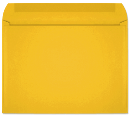 Picture of 9 X 12   28 YELLOW STARBURST® Booklet  -BULK