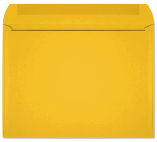 Picture of 9 X 12   28 YELLOW STARBURST® Booklet  -BULK