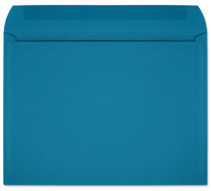 Picture of 9  X 12   28 BLUE STARBURST® Booklet