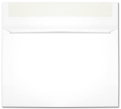 Picture of 10 X 15  28 VELPINE® Booklet-BULK