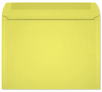 Picture of 9 X 12  28 LEMON STARBURST® Booklet