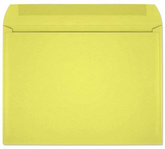 Picture of 9 X 12  28 LEMON STARBURST® Booklet