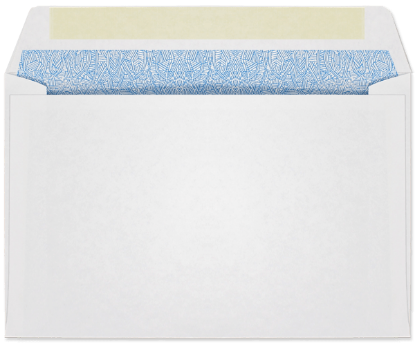 Picture of 5-3/4 X 8-7/8  24 W-2 WESCO® DBL POLY WINDOW