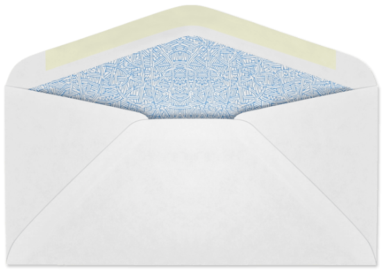 Picture of 3-13/16 X 7-13/16 24 W-2 FORM #5