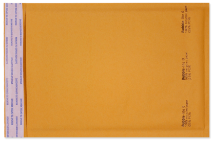 Picture of 6 X 10  BUBBLE-LITE® W/SEAL