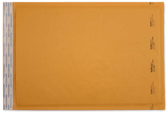 Picture of 10-1/2 X 16  BUBBLE-LITE® W/SEAL