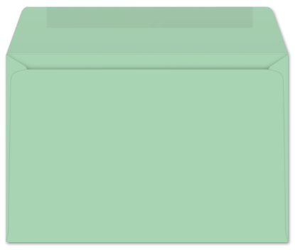 Picture of 6 X 9-1/2  24 PRISM® GREEN  Booklet
