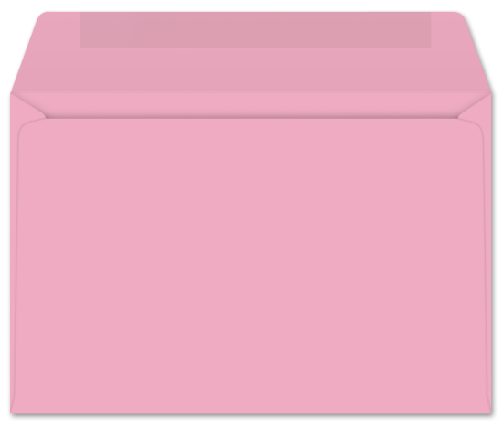 Picture of 6 X 9-1/2  24 PRISM® PINK  Booklet