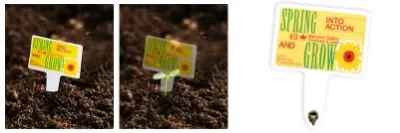 Picture of Our seeds. Your opportunities...